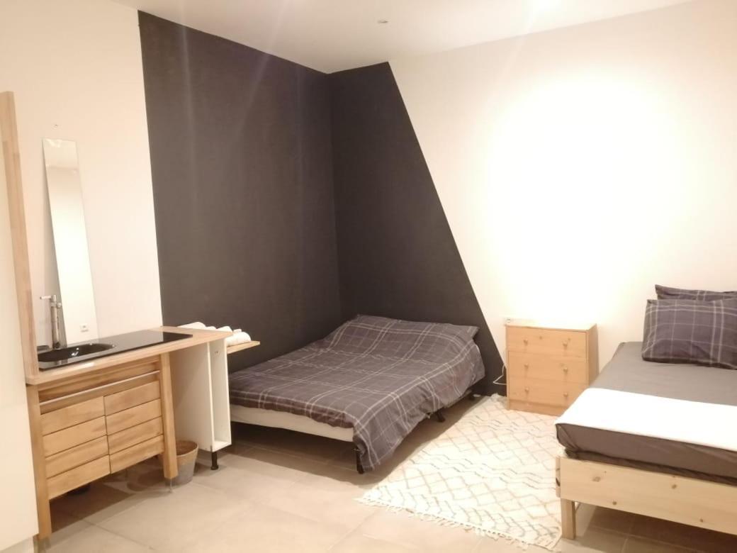Loft Viarhona, Grand Loft En Centre-Ville Lione Esterno foto